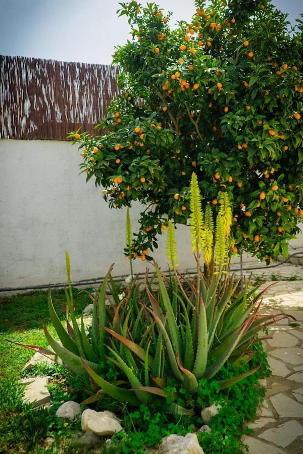Villa Riu Altaret Denia Exteriér fotografie